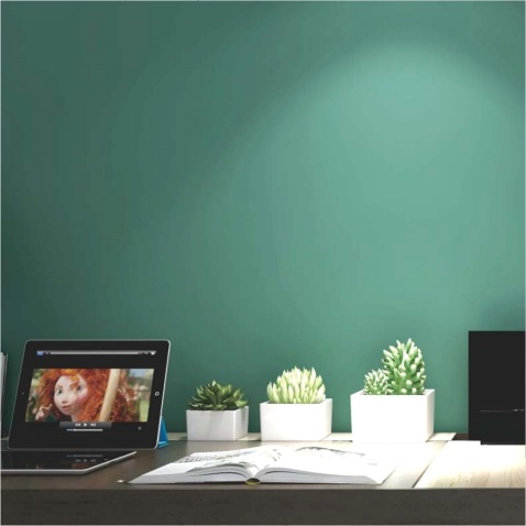 Serayal.塞拉雅尔（橘纹素雅）